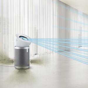 Ефективно очищає та вентилює повітря у будь-яку пору року