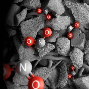 Вловлює втричі більше діоксиду азоту (NO2)